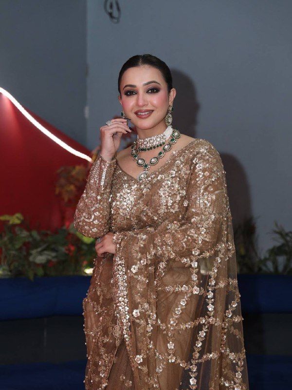 Golden Net Saree with Sequin and Zari Work, view 3